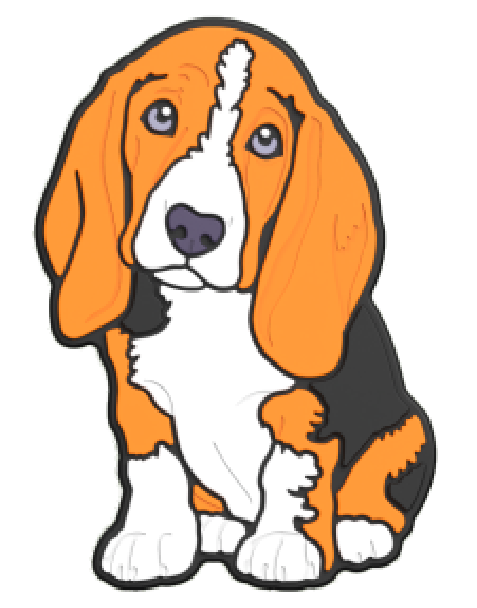 Animal - Dog - Beagle / Bassett Hound - Public Focal