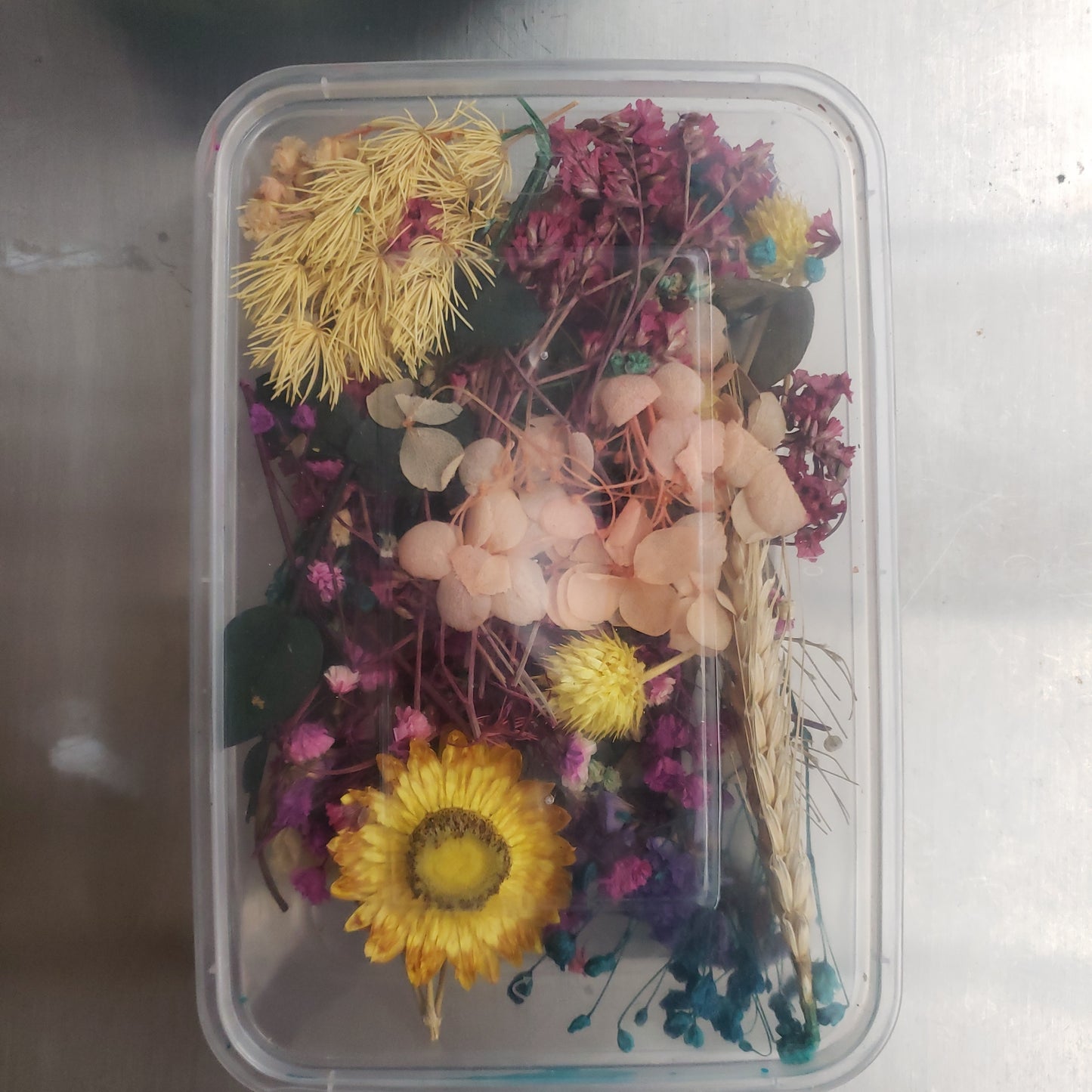 Misc - Dried Flowers for Resin Assorted