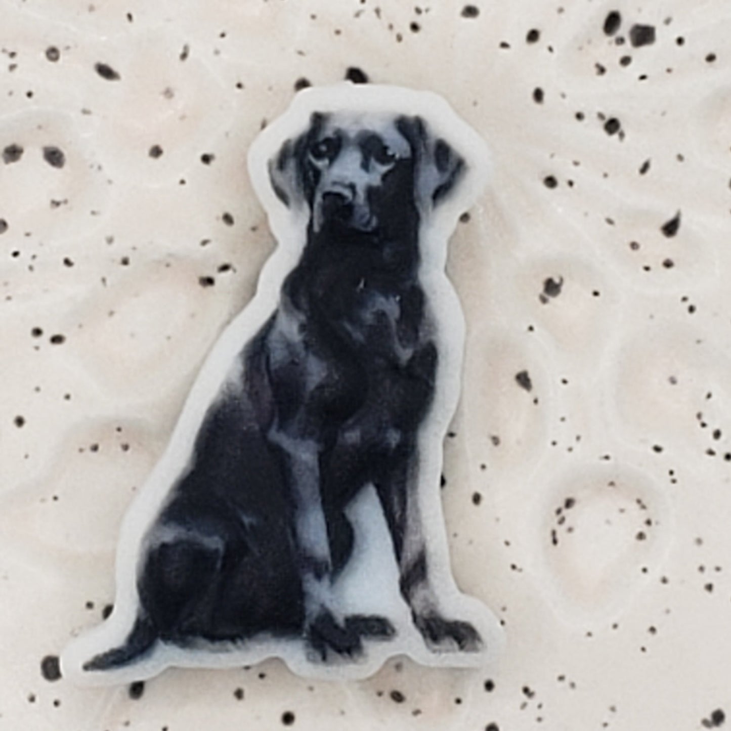 Animal - Dog - Labrador Retriever Black Printed Silicone Focal Exclusive