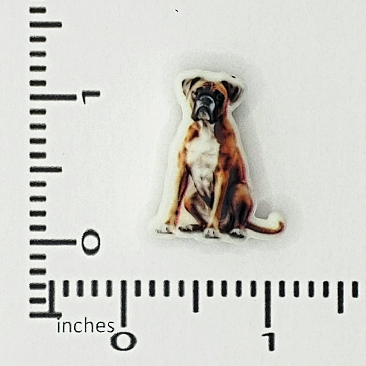 Animal - Dog - Boxer Printed Silicone Focal Exclusive