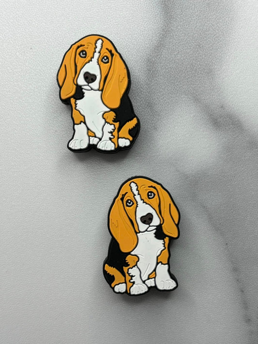 Animal - Dog - Beagle / Bassett Hound - Public Focal