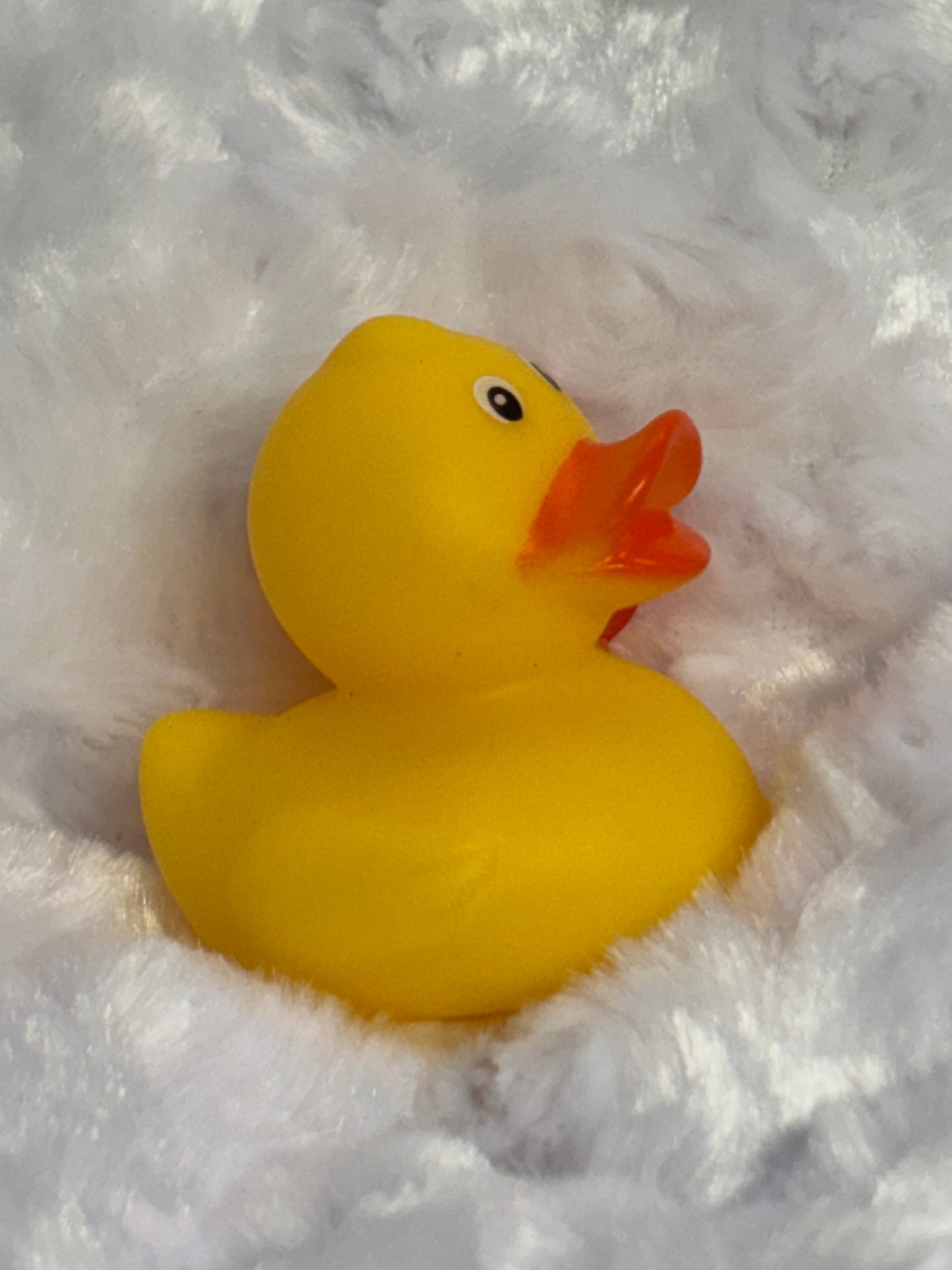 Rubber Duck ~ Buy 2 Get 2 Free ~ Mix and Match