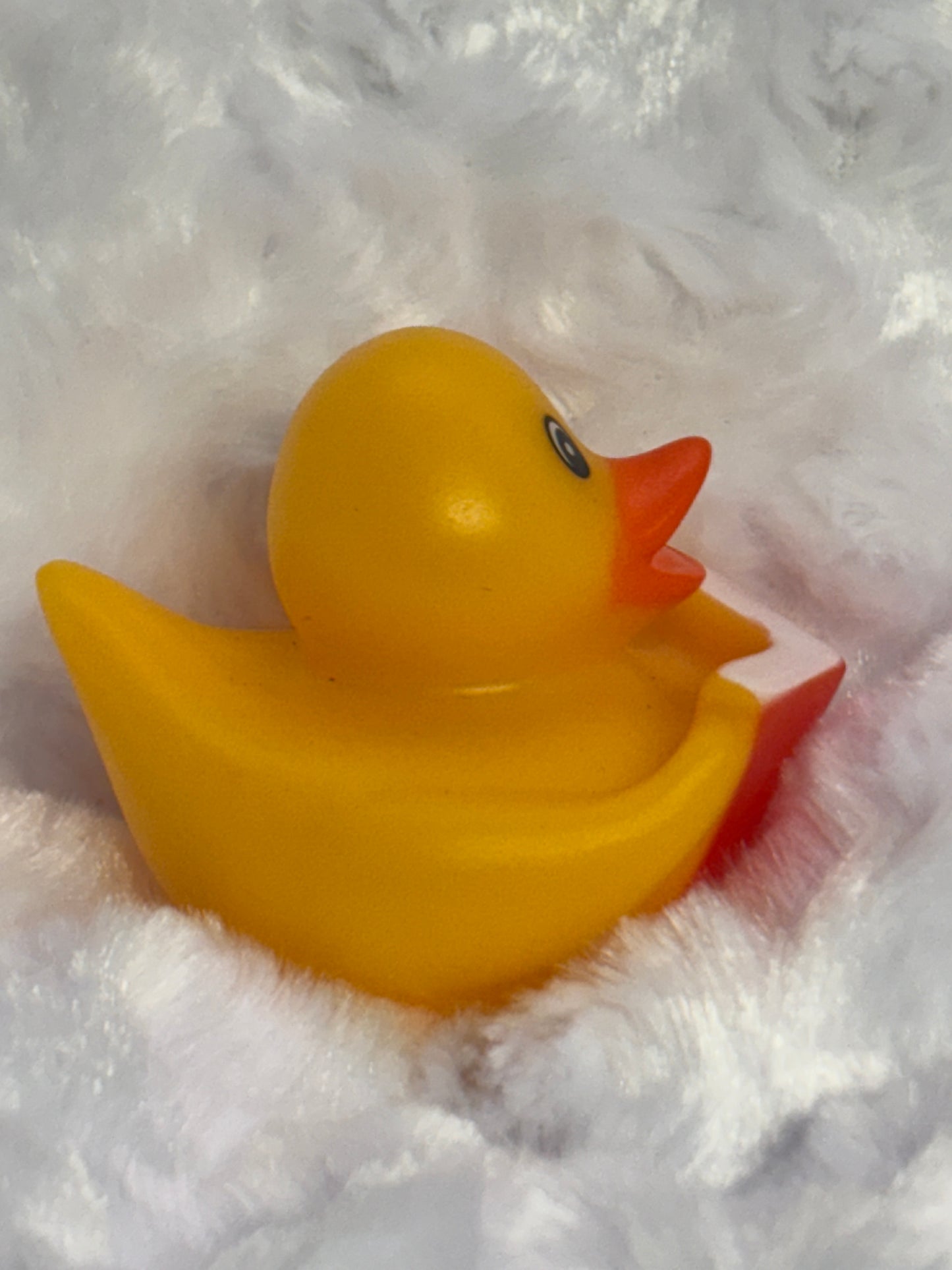 Rubber Duck ~ Buy 2 Get 2 Free ~ Mix and Match