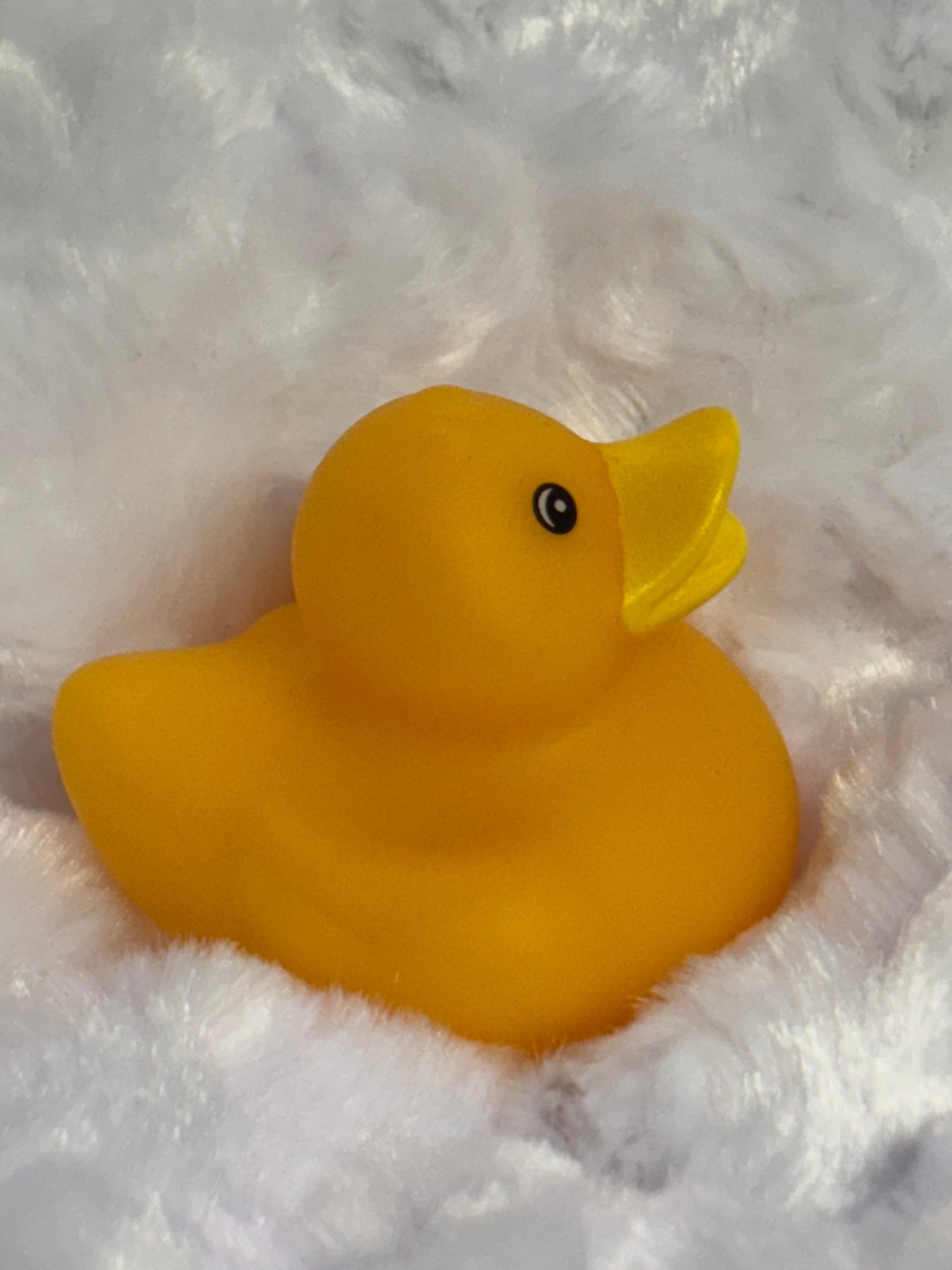 Rubber Duck ~ Buy 2 Get 2 Free ~ Mix and Match