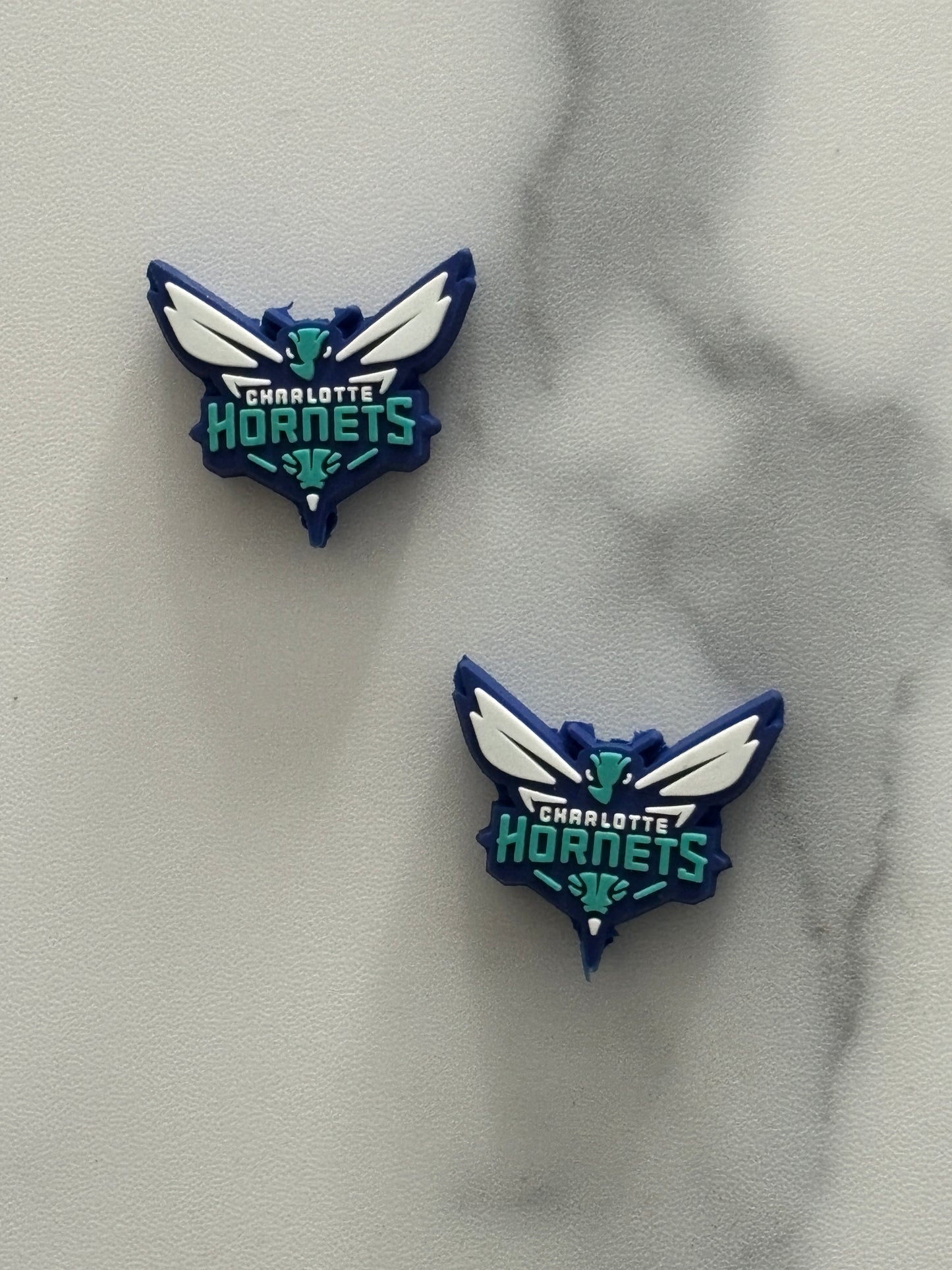 Basketball - Charlotte Hornets PVC Focal