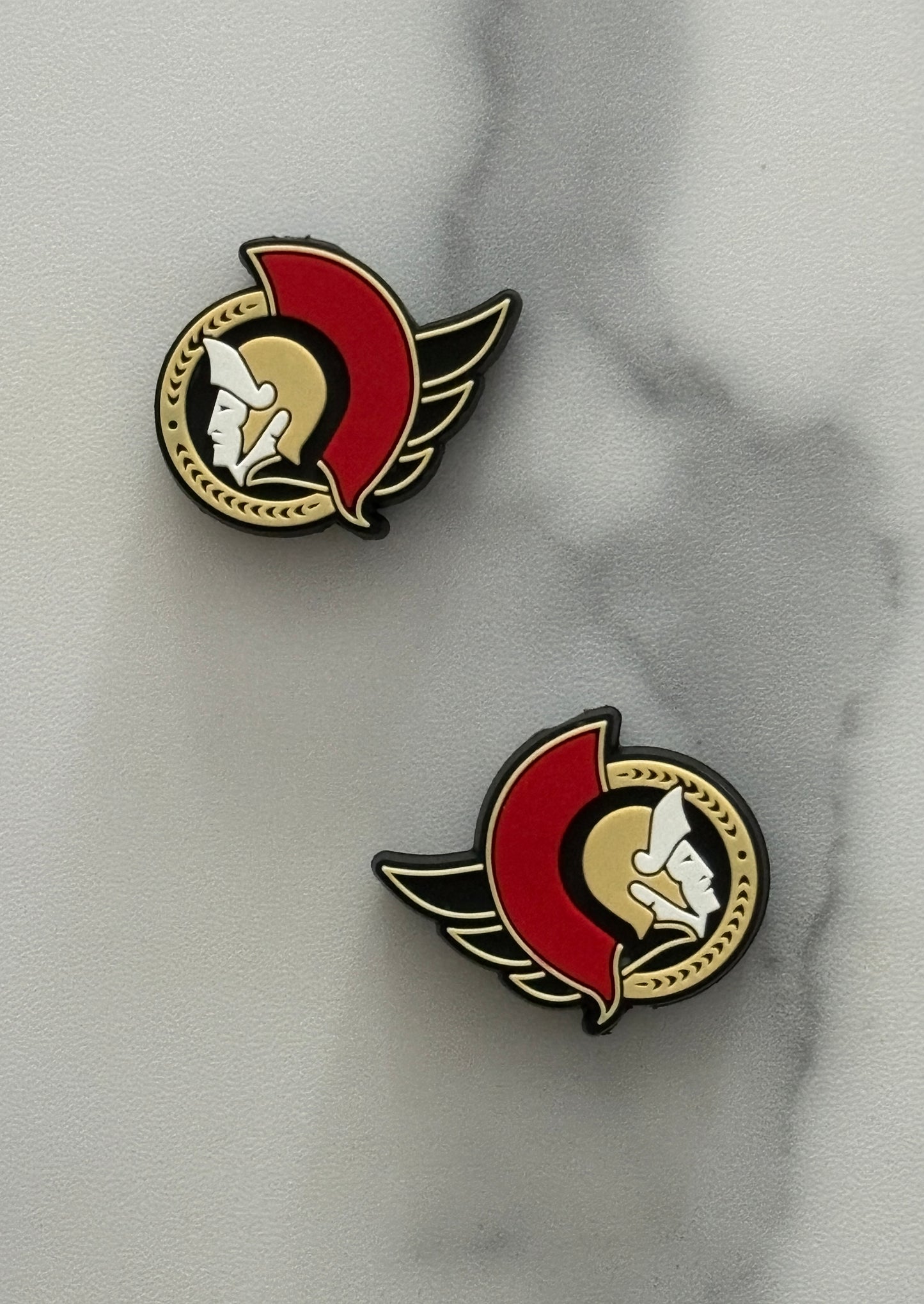 Hockey -  Ottawa Senators PVC Focal