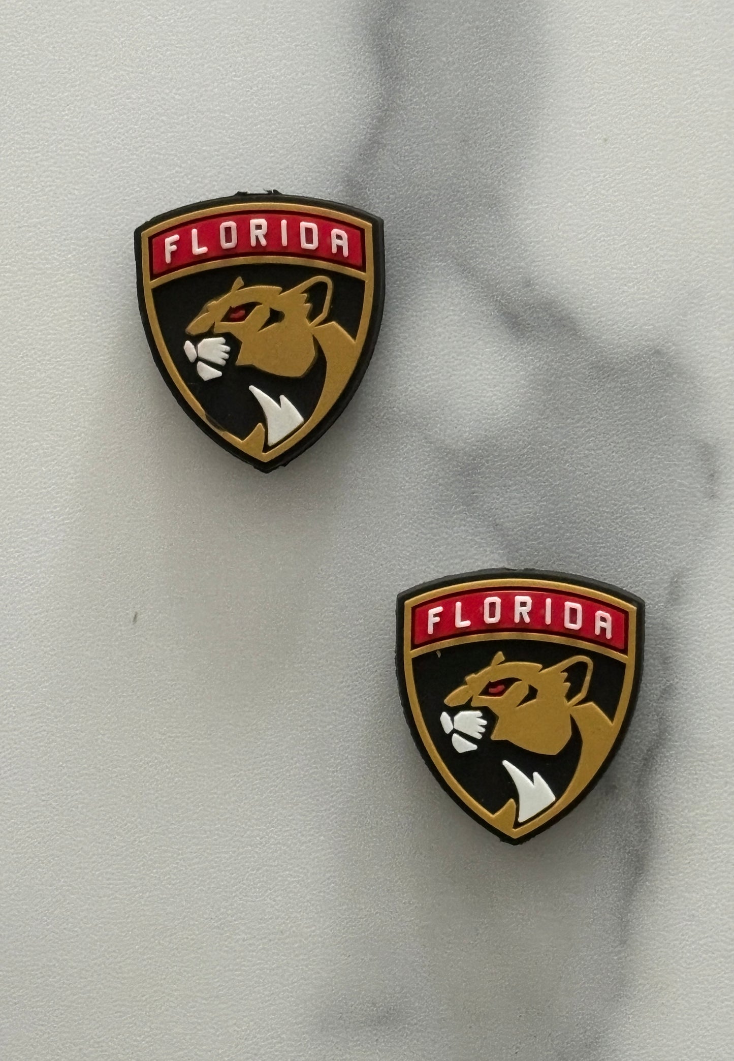 Hockey -  Florida Panthers PVC Focal