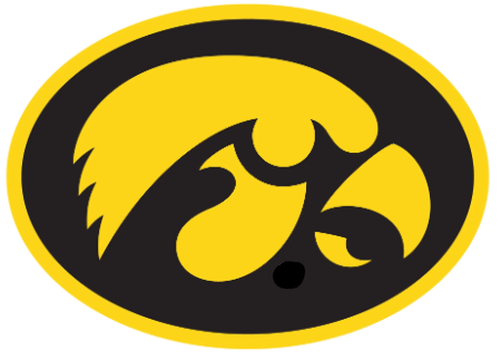 College - Iowa Hawkeyes PVC focal